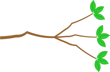 Diagram of branches with leaves