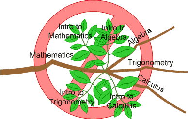 Diagram showing Algebra, Trig, and Calculus as stems on the end of the Math branch.